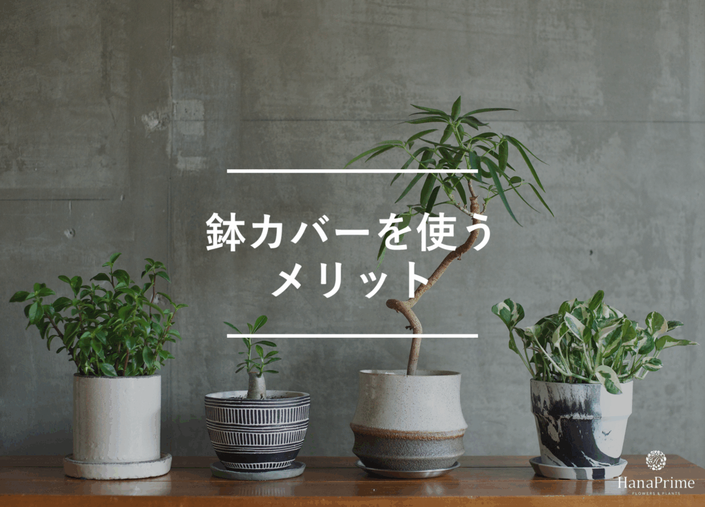 鉢カバーを使う5つのメリット