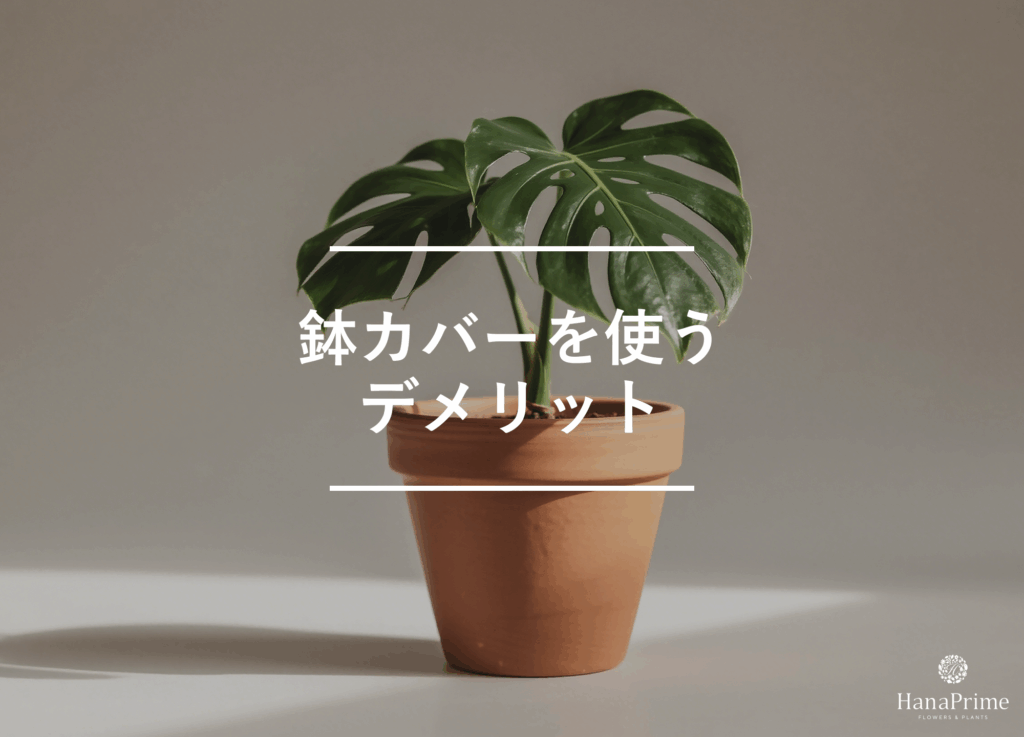 鉢カバーを使うデメリット