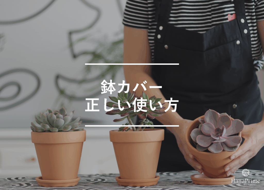 鉢カバーの使い方