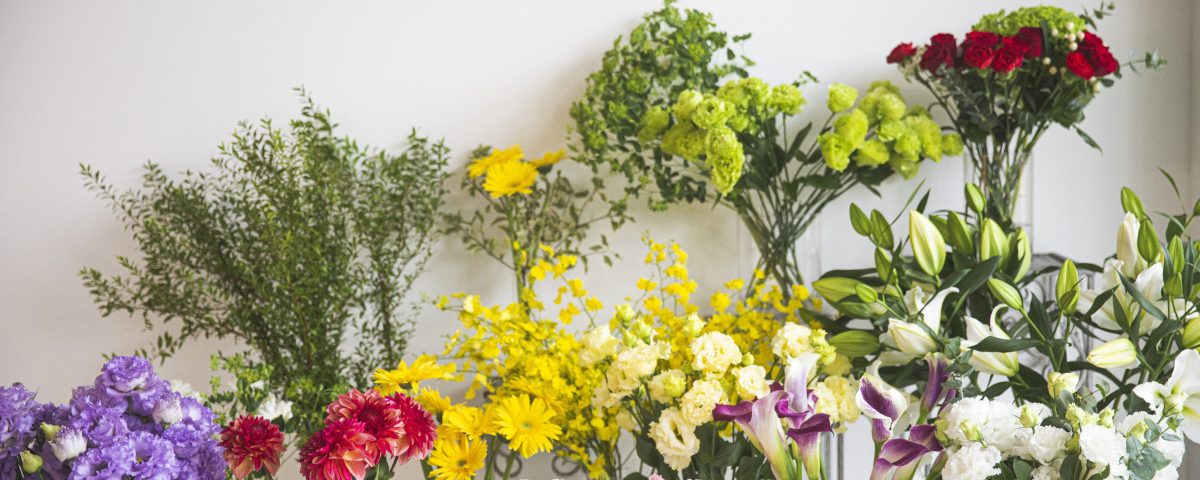 植物の育て方