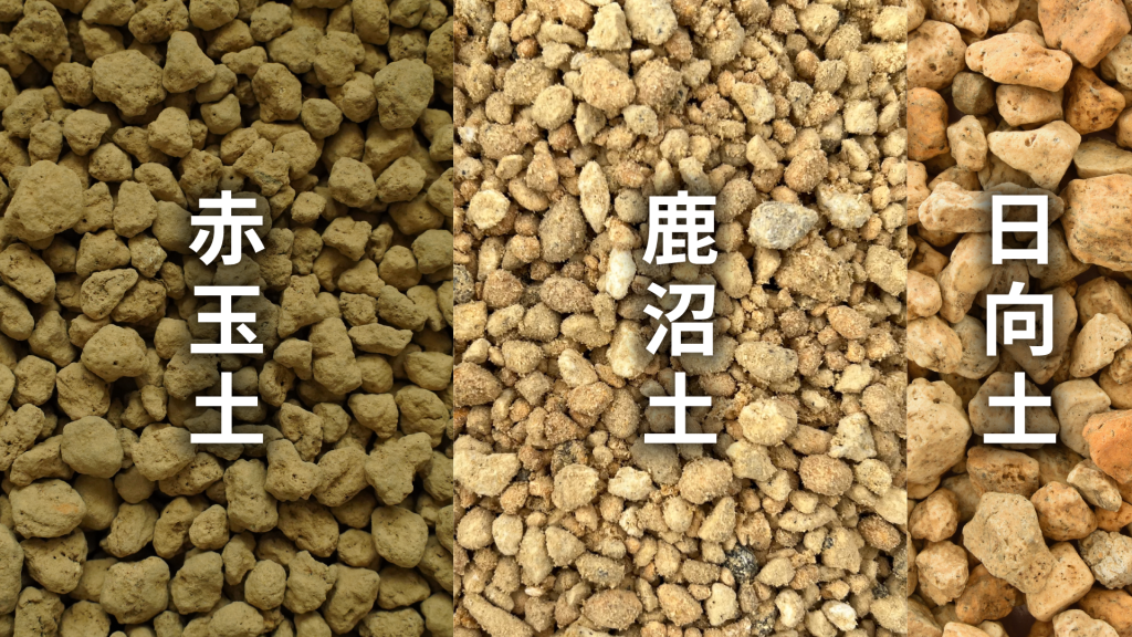 リプサリス ホリダの土の配合比率