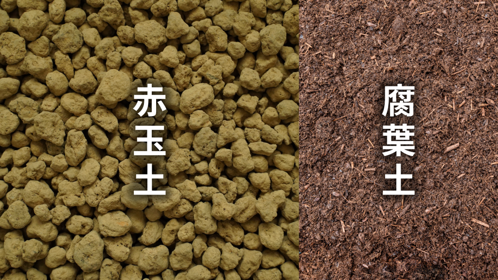 ホヤの土の配合比率