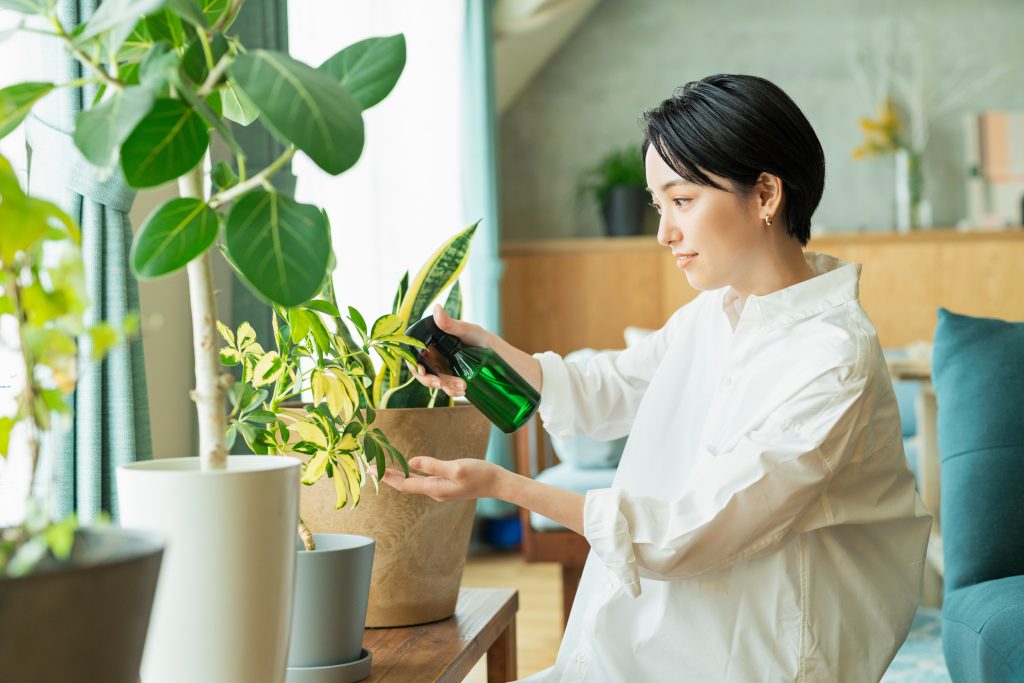 観葉植物を大きくするためのコツ