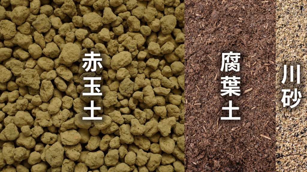 サンスベリアの土の配合比率