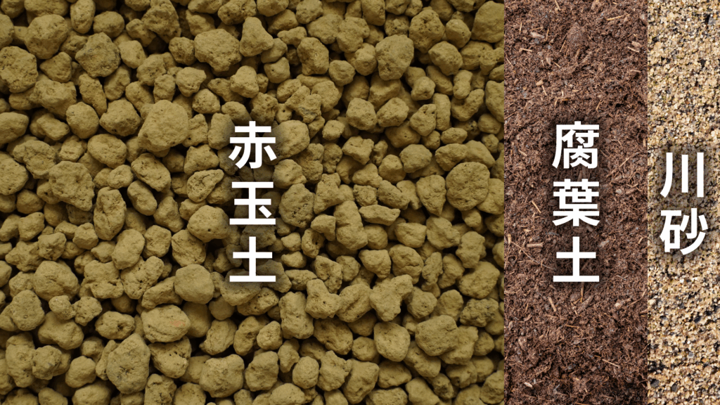 モンキーツリーの土の配合比率