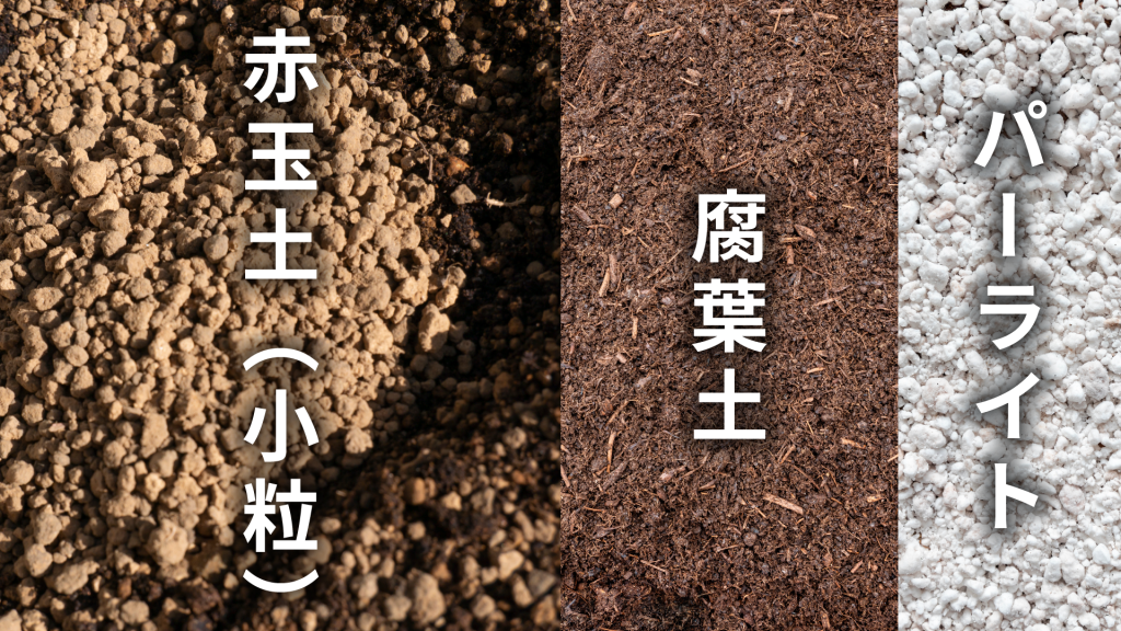 ドラセナ パープルコンパクタの土の配合比率