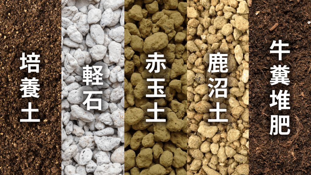 ユッカ フィリフェラの土の配合比率