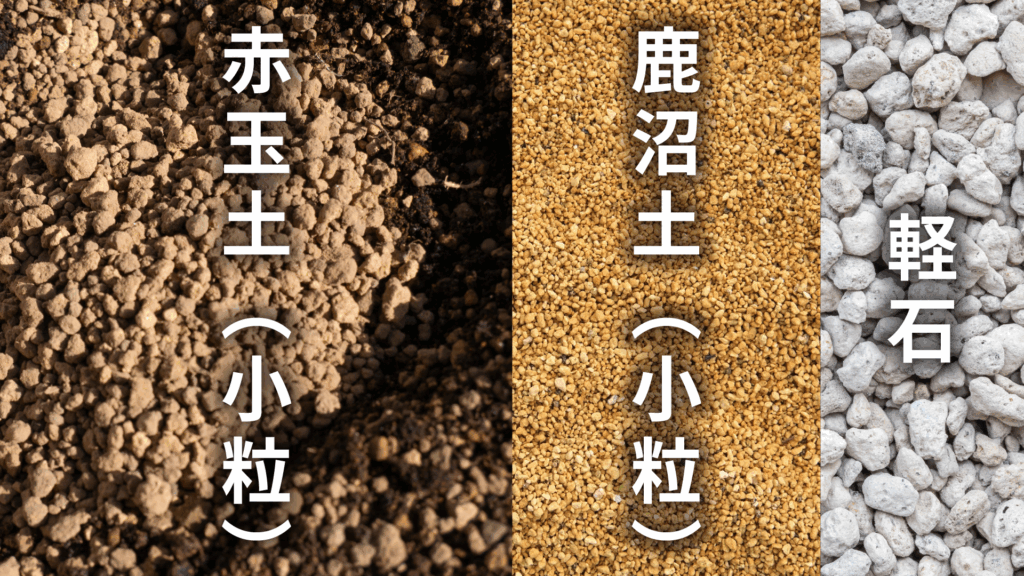 エケベリア トップスプレンダーの土の配合比率