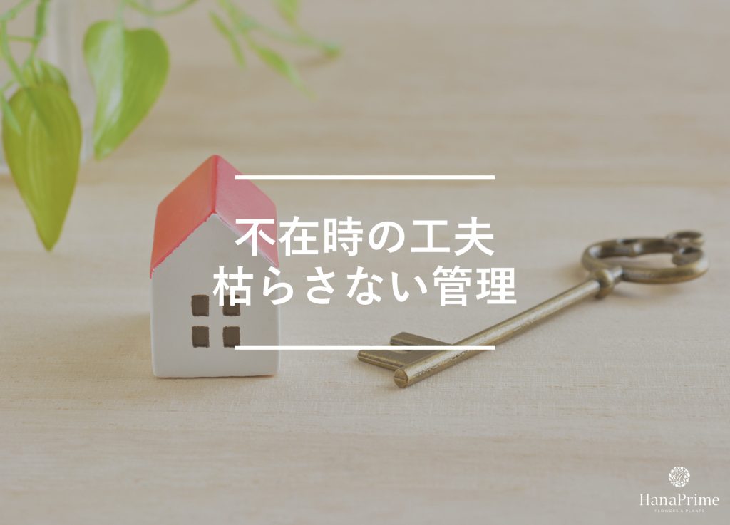 家を留守にする時の水やりはどうしたら良い?