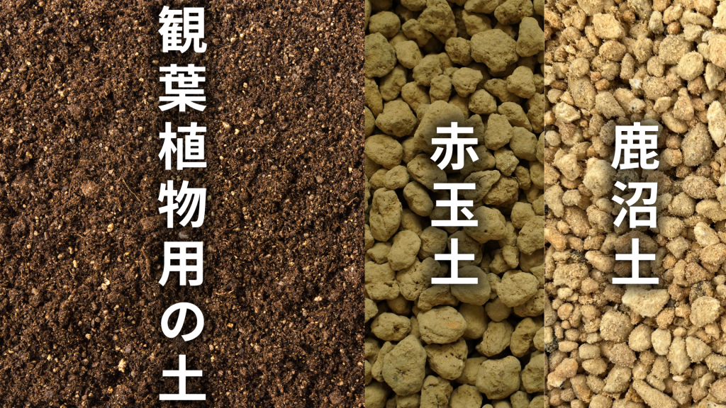 ツピタンサスの土の配合比率