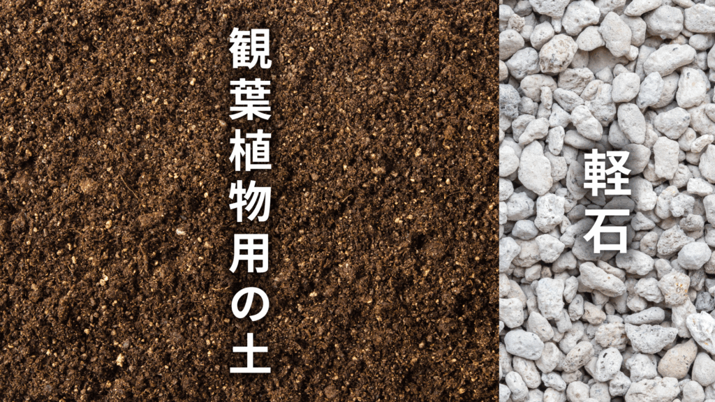 ユッカ グロリオサの土の配合比率