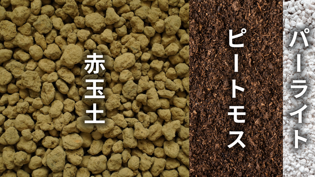 スキンダプサスの土の配合比率