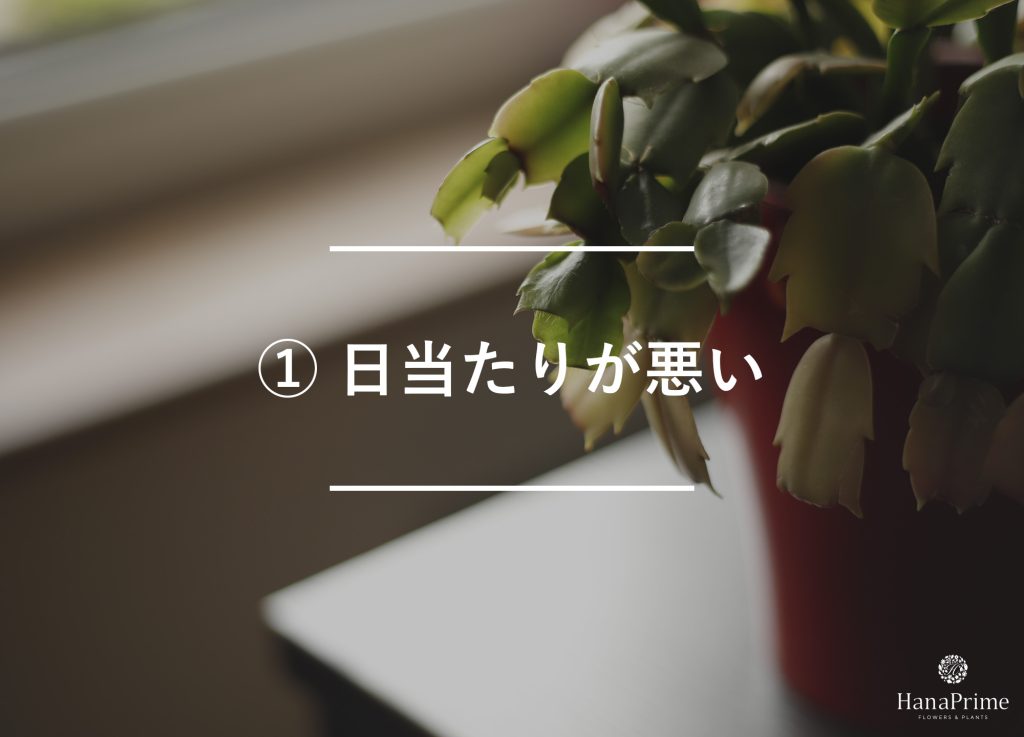 ① 日当たりが悪い