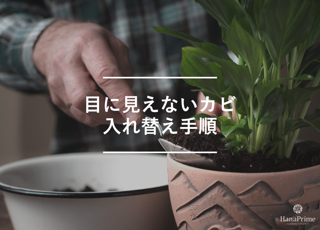 表土を入れ替える