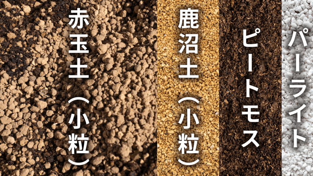 アスプレニウム パーバティの土の配合比率