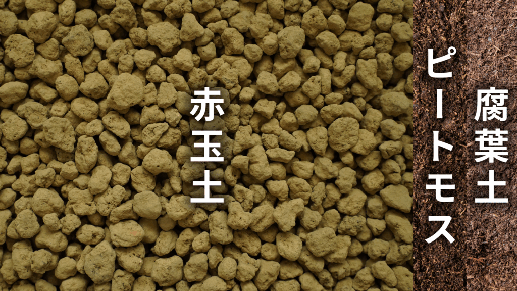 モンステラ ジェイドウィングの土の配合比率