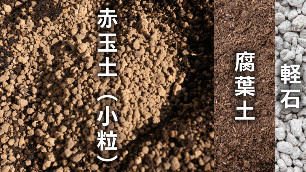 ドラセナ コンシンネ トリカラーの土の配合比率