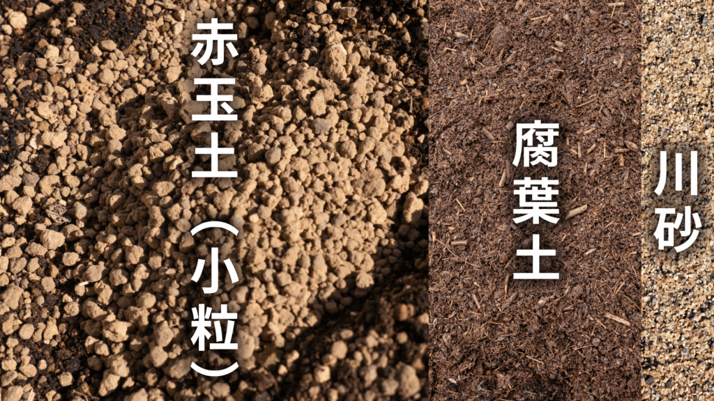 フィロデンドロン ホープの土の配合比率