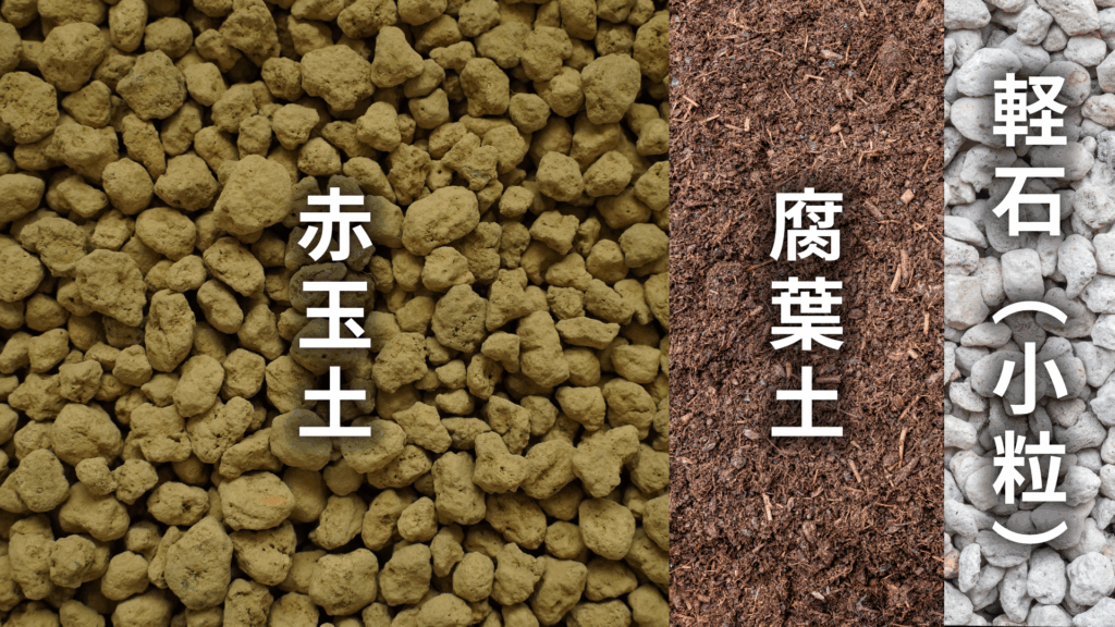 ユッカ アロイフォリアの土の配合比率