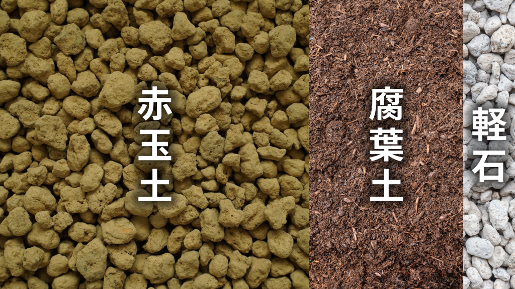 アカシア ブリスベーンの土の配合比率