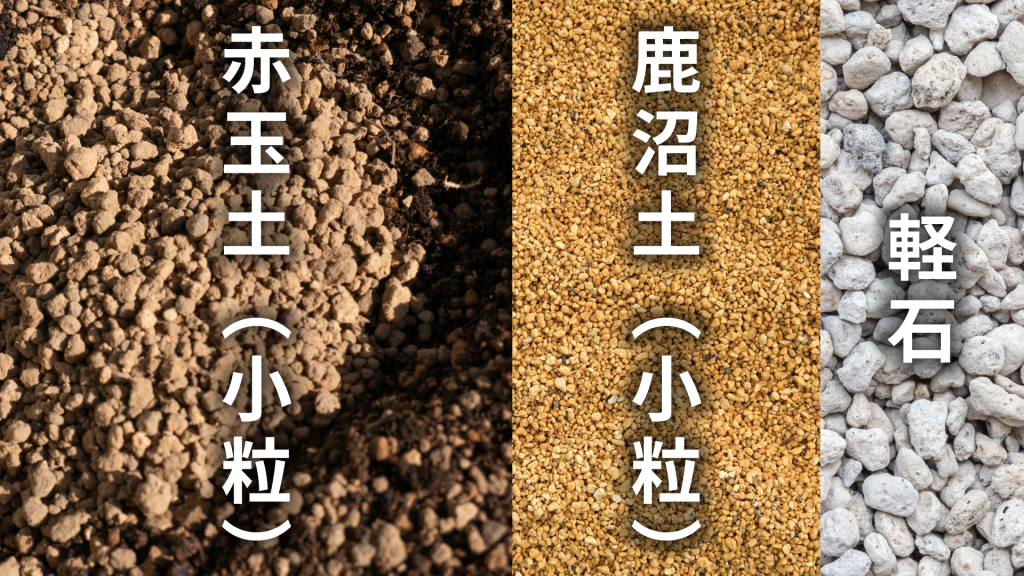 エケベリア チワワエンシスの土の配合比率