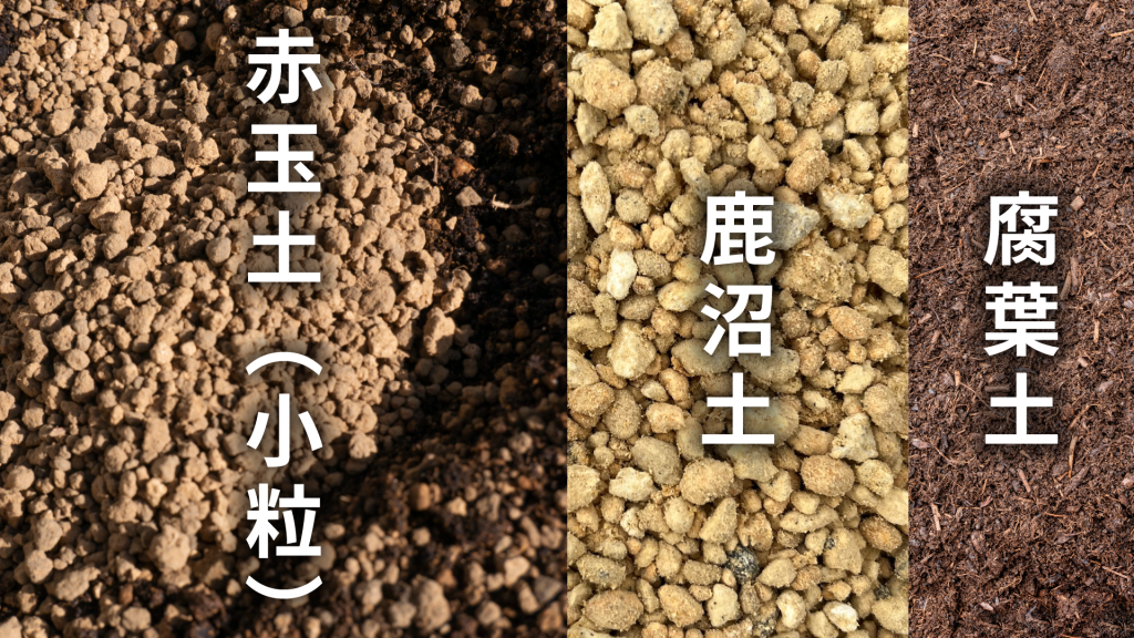 テトラゴナ(桃源郷)の土の配合比率