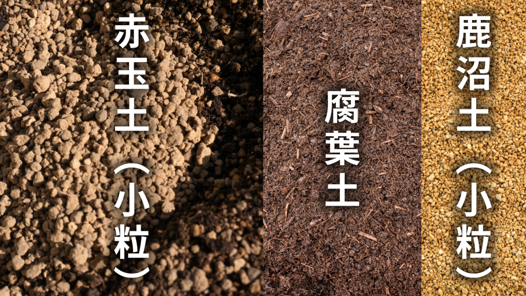 クラッスラ(南十字星)の土の配合比率