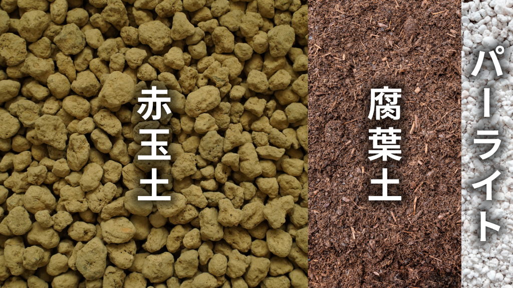 コルジリネの土の配合比率