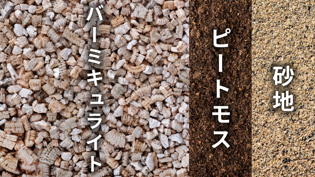 リプサリス エリプティカの土の配合比率