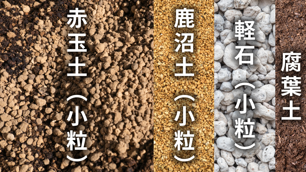 リプサリス プニセオディスクスの土の配合比率