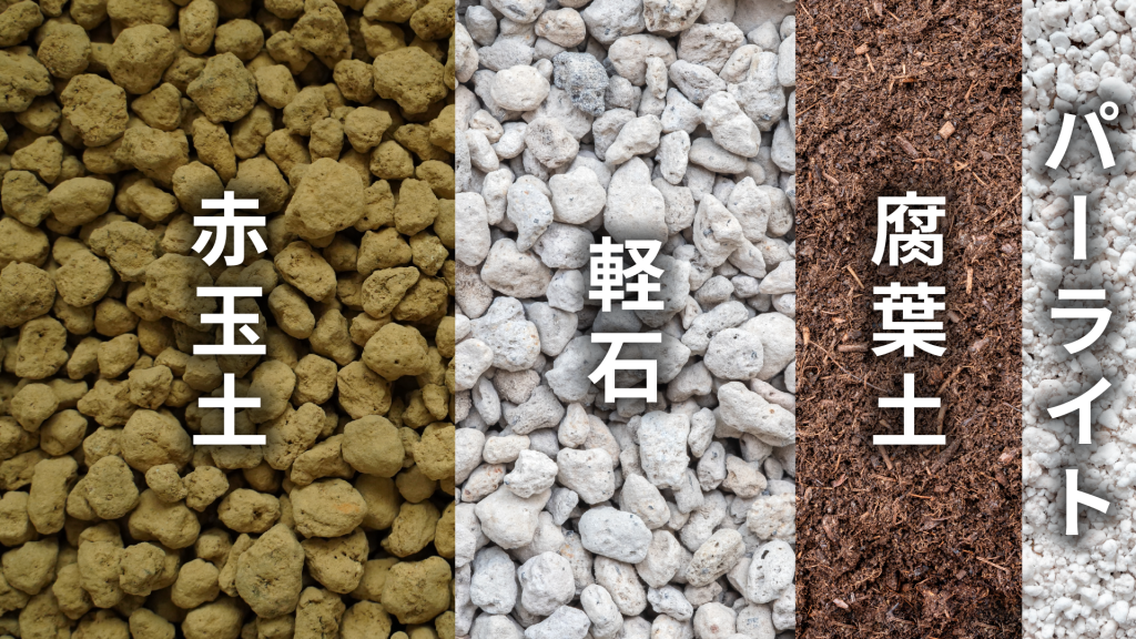 ディッキア マルニエルラポストレイの土の配合比率