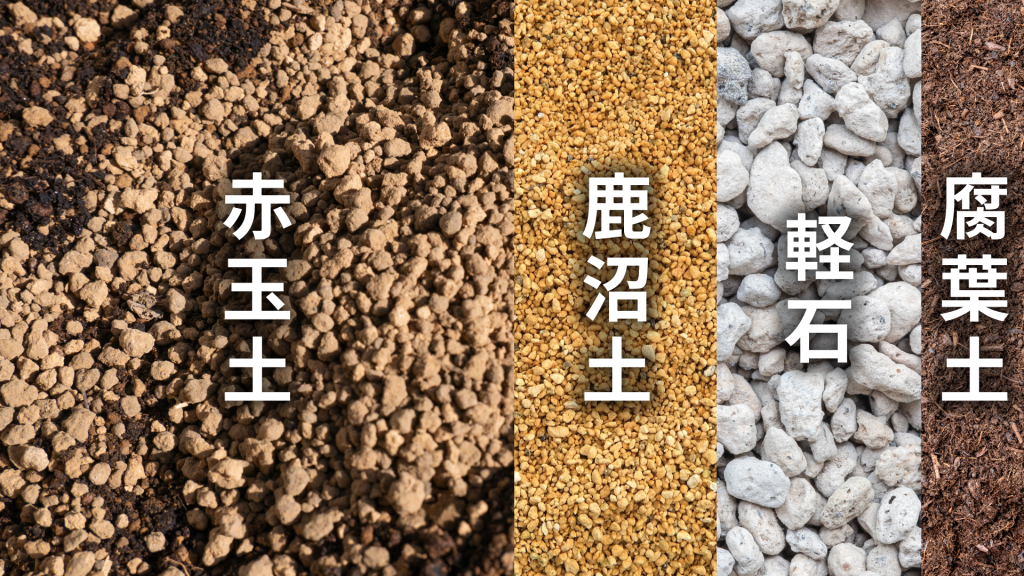 センペルビウムの土の配合比率