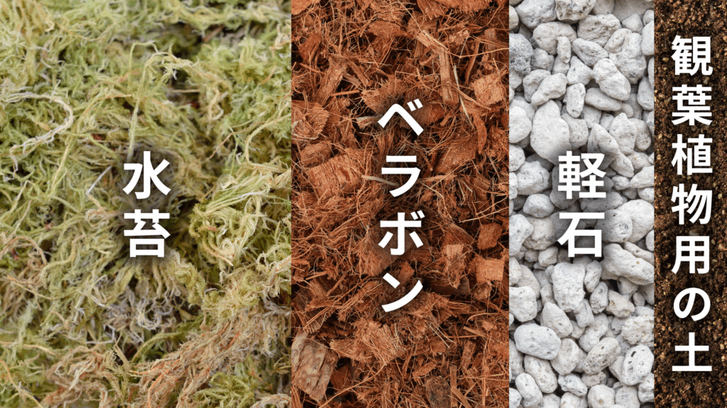 ドリナリアの土の配合比率