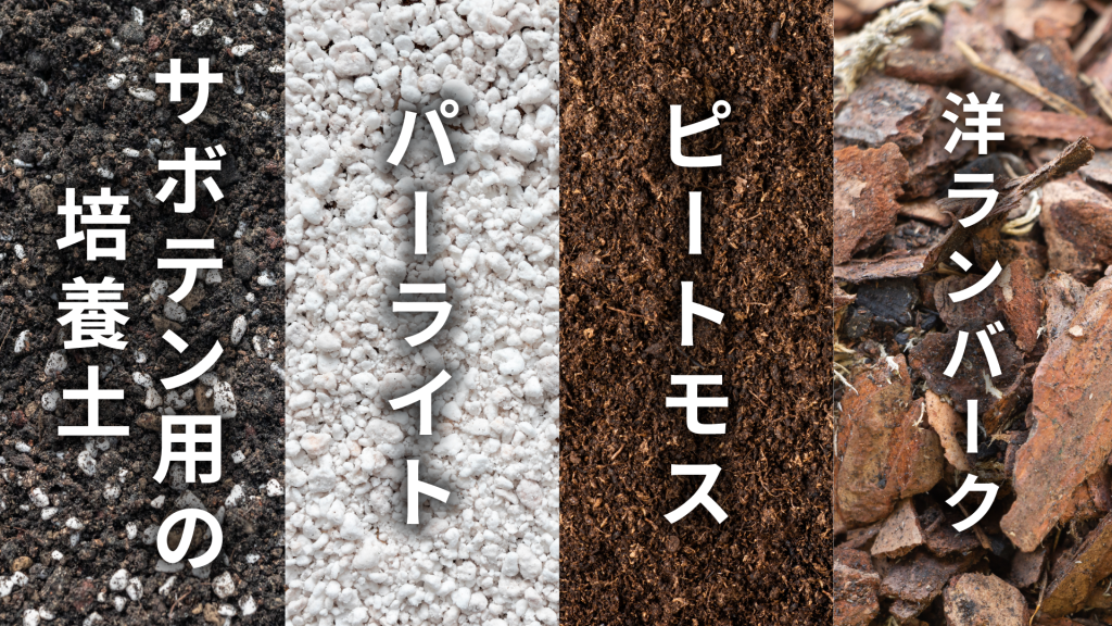 リプサリス キルベルギーの土の配合比率