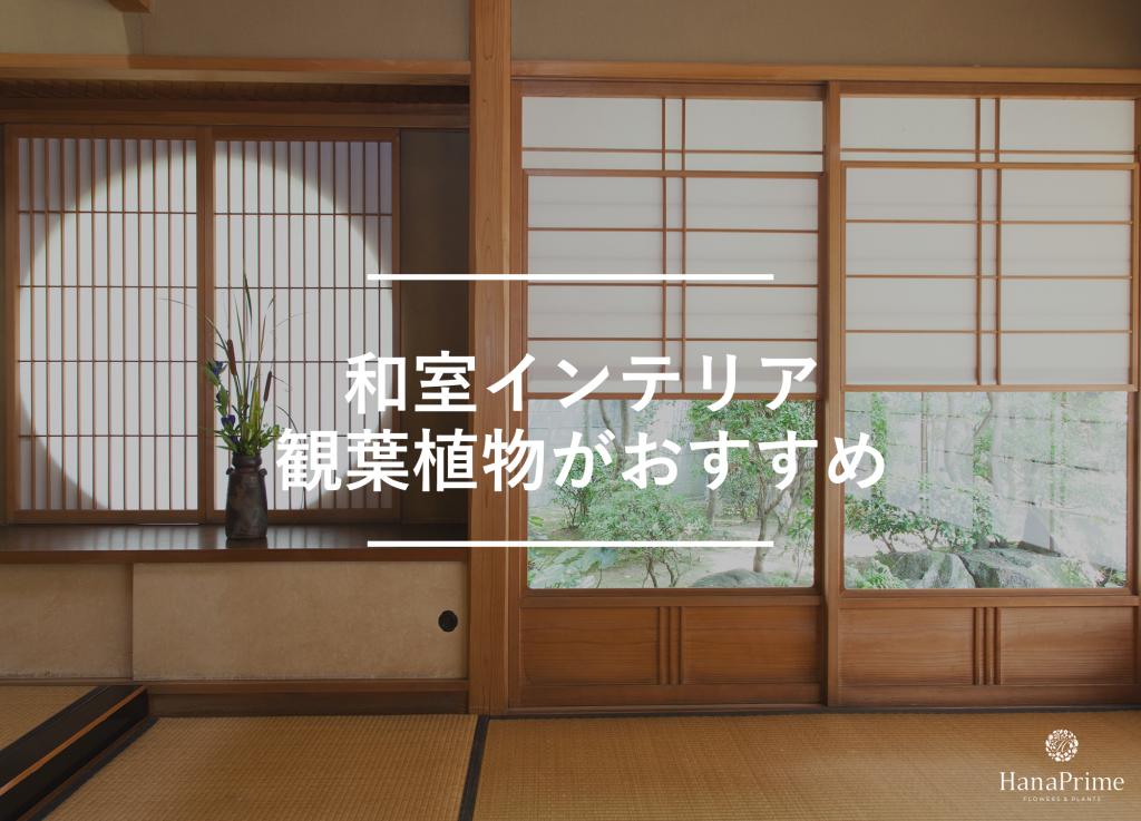 和室のインテリアには観葉植物がおすすめ