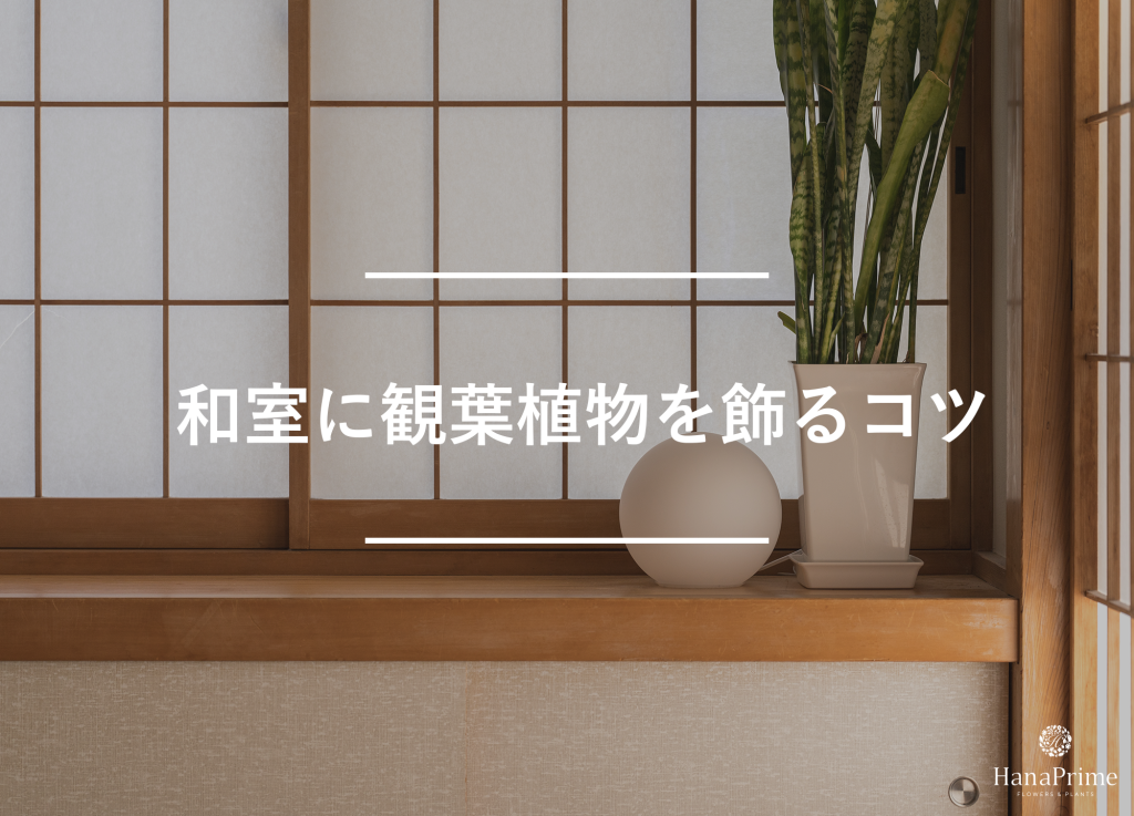 和室に観葉植物を飾るコツ