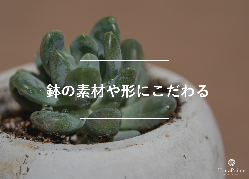 鉢の素材や形にこだわる