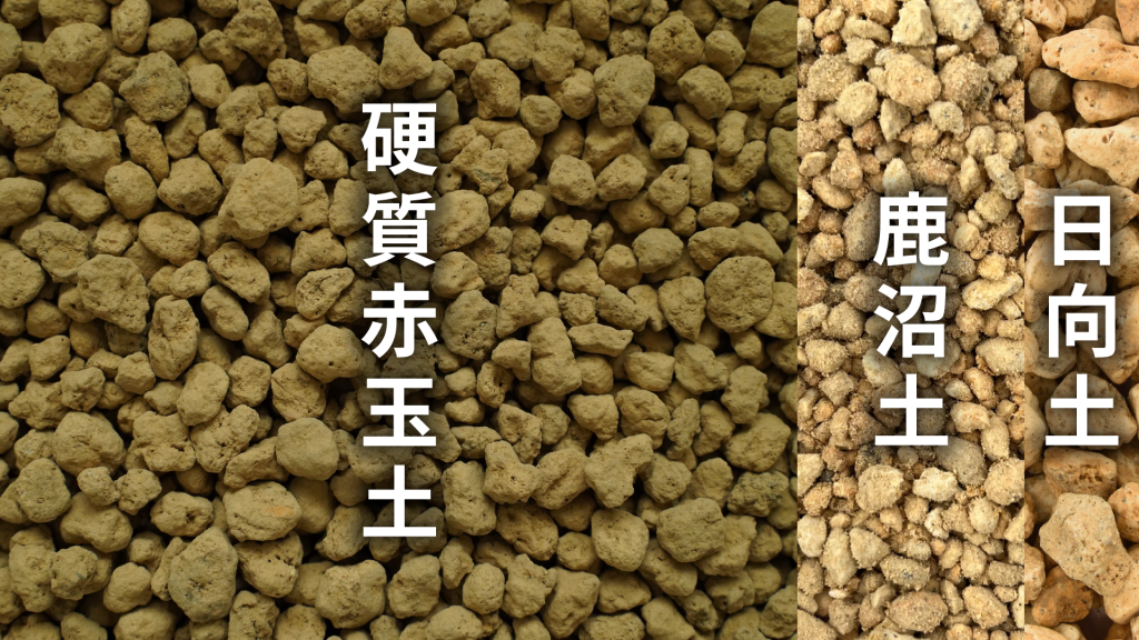 ホマロメナの土の配合比率