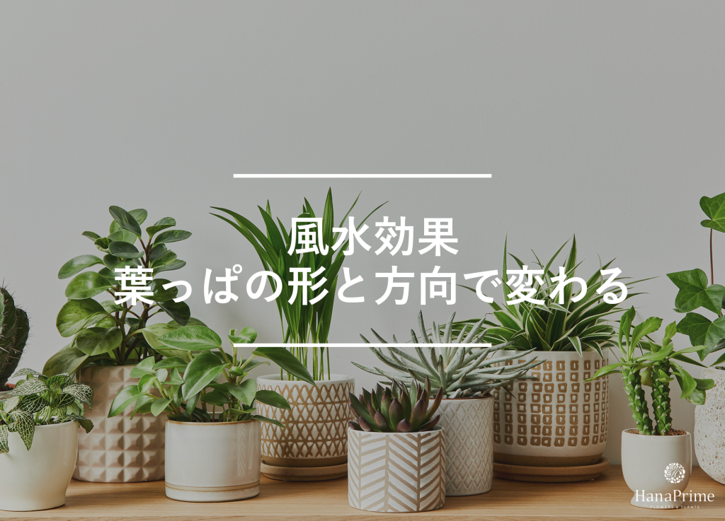 葉っぱの形と向きで効果が変わる