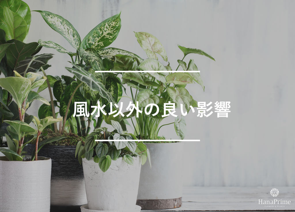 風水以外にも生活に良い影響がある