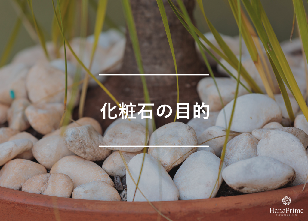 化粧石とは？観葉植物には使った方が良い？