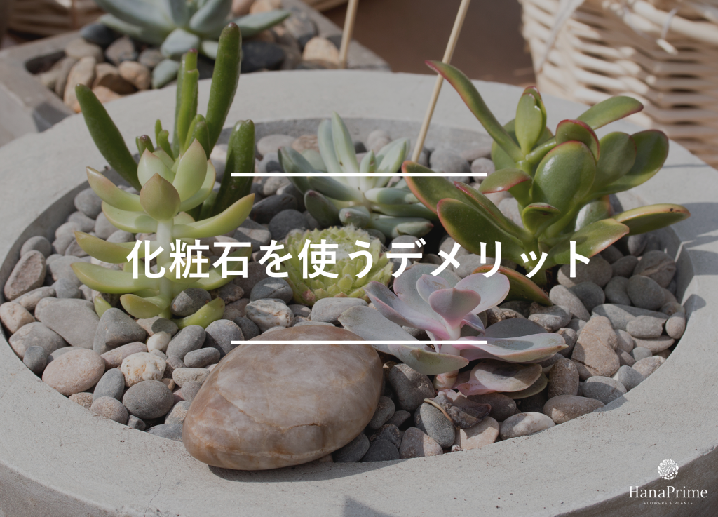観葉植物に化粧石を使う5つのデメリット
