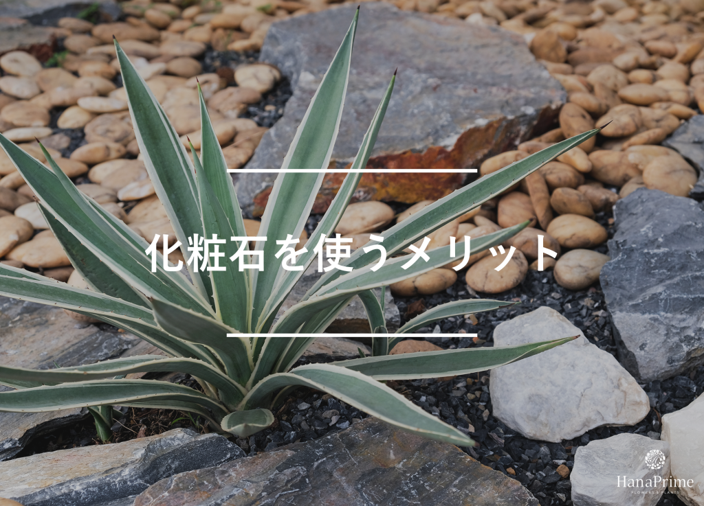 観葉植物に化粧石を使う3つのメリット
