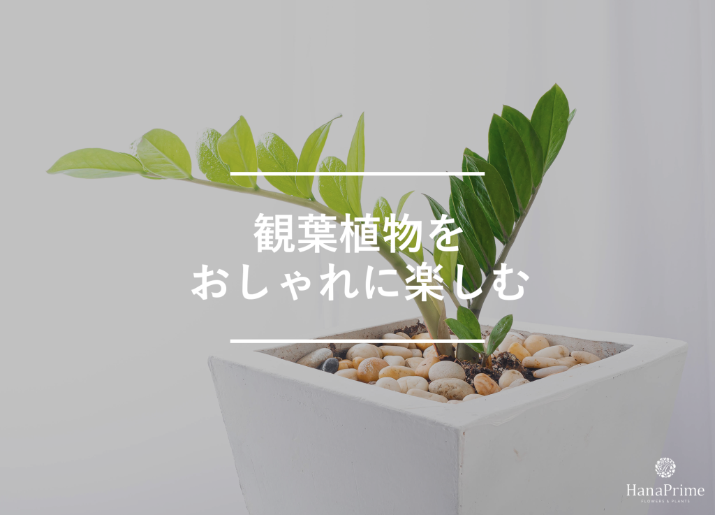 ① 見た目がおしゃれになる