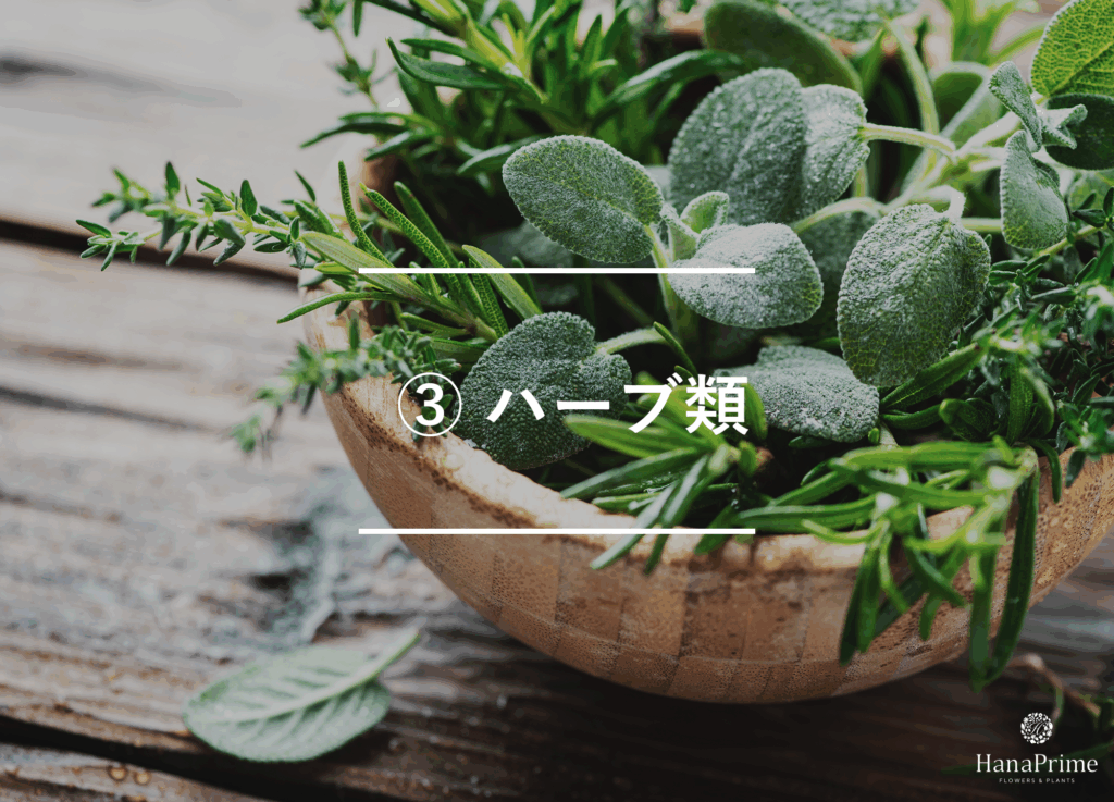 ③ ハーブ類