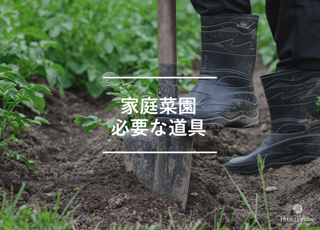 必要な道具と準備