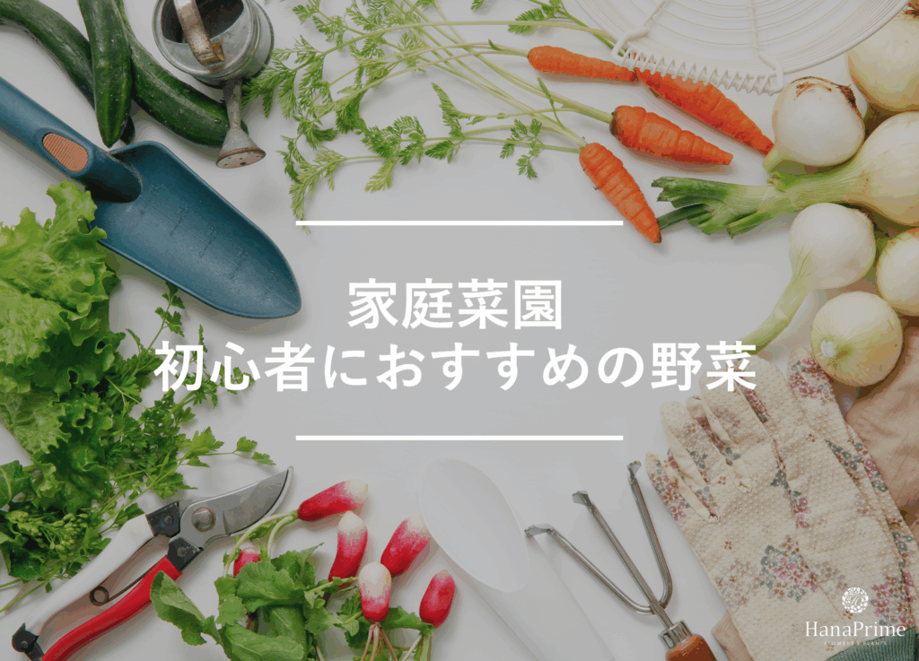 家庭菜園で初心者におすすめの野菜12選