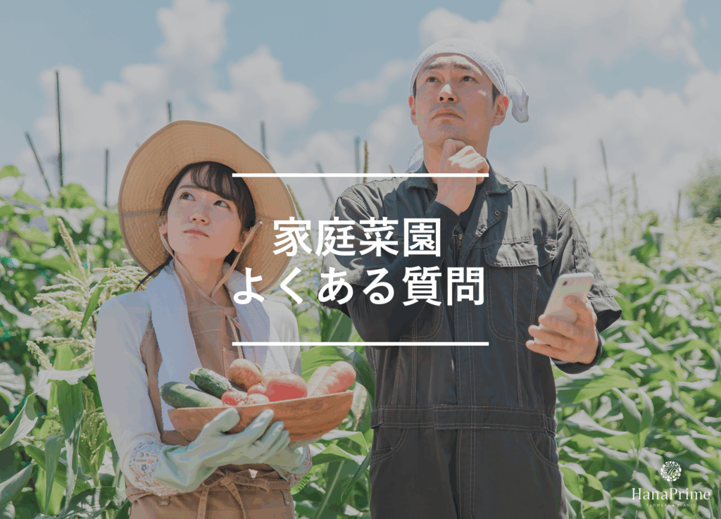 家庭菜園初心者に関するよくある質問