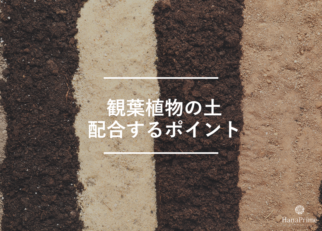 観葉植物の土を自分で配合してみよう