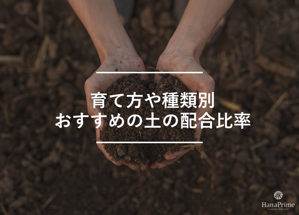 育て方・種類別におすすめの配合を紹介